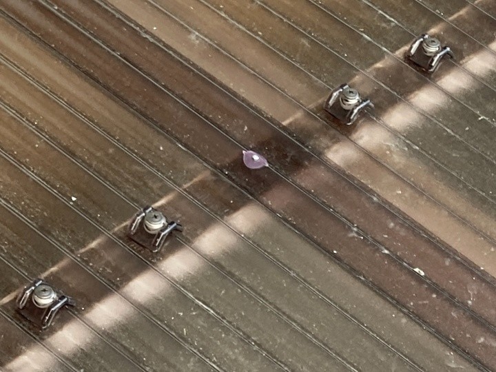 仕上がりの確認と固定部の最終チェック