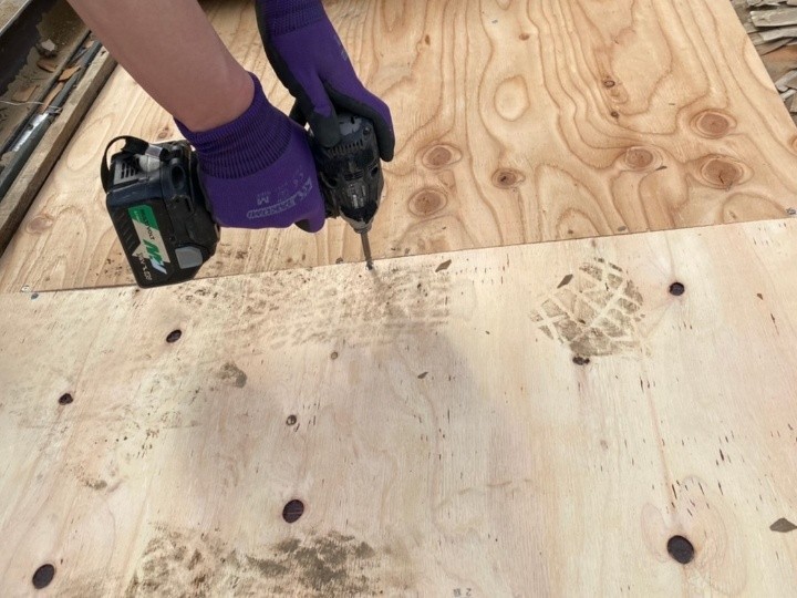 新しい構造用合板の設置