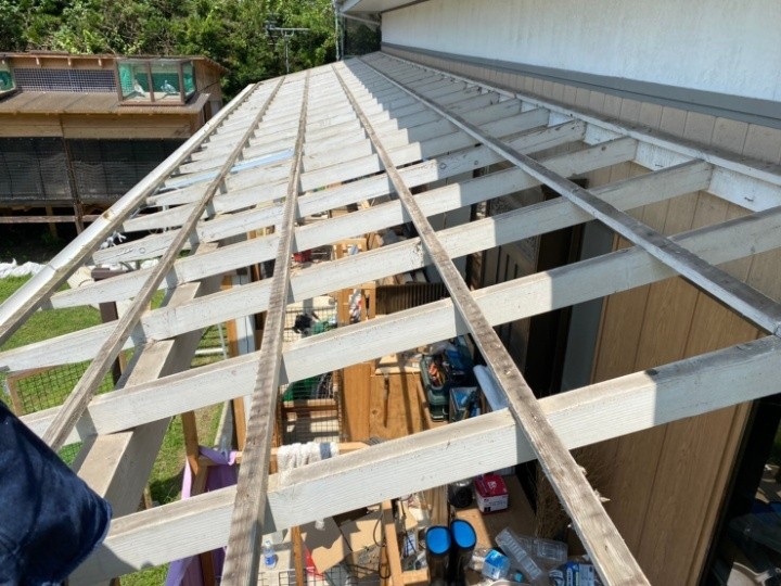 既存波板の撤去作業