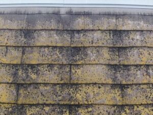 使用されている屋根材は”フルベスト20”でした