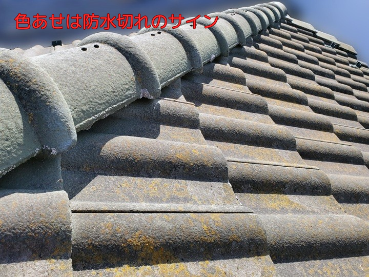 色あせは防水切れのサイン