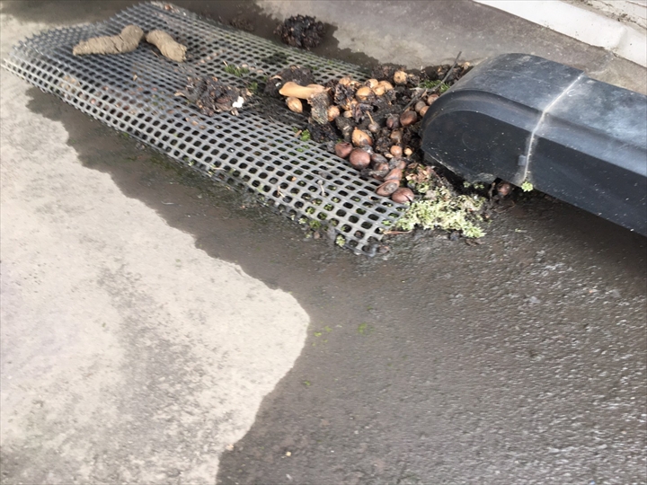 雨樋の排水不良