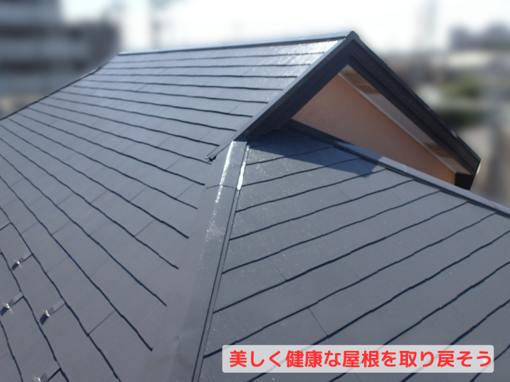 美しく健康な屋根を取り戻そう