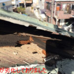 貫板が劣化しておりました