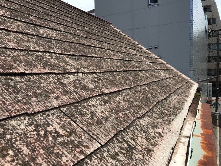 屋根材のめくれと全体の傷み