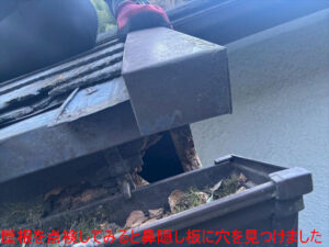 屋根を点検してみると鼻隠し板に穴を見つけました