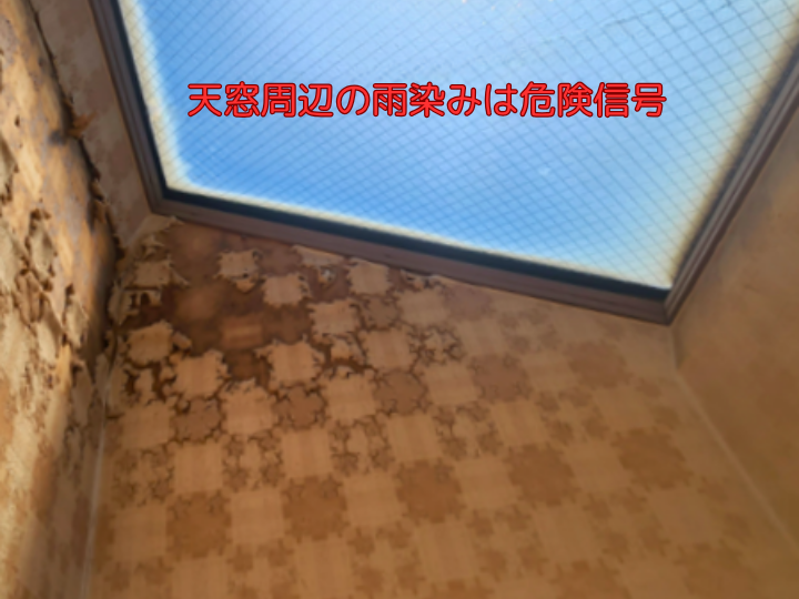天窓周辺の雨染みは危険信号