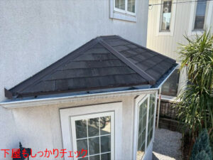下屋もしっかりチェック