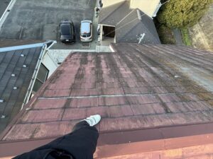 屋根に登り現地調査