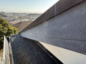 屋根に登って現地調査