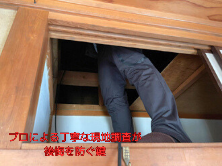 プロによる丁寧な現地調査が後悔を防ぐ鍵