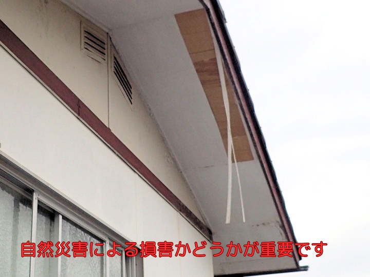 自然災害による損害かどうかが重要です