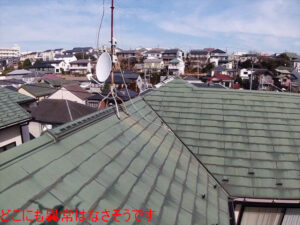 どこにも異常はなさそうです