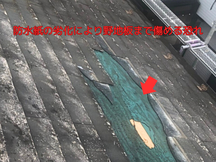 防水紙の劣化により野地板まで傷める恐れ