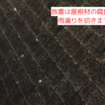放置は屋根材の腐食と雨漏りを招きます