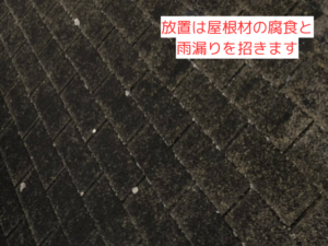 放置は屋根材の腐食と雨漏りを招きます