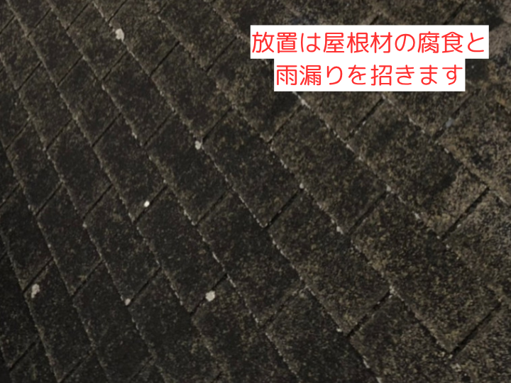 放置は屋根材の腐食と雨漏りを招きます