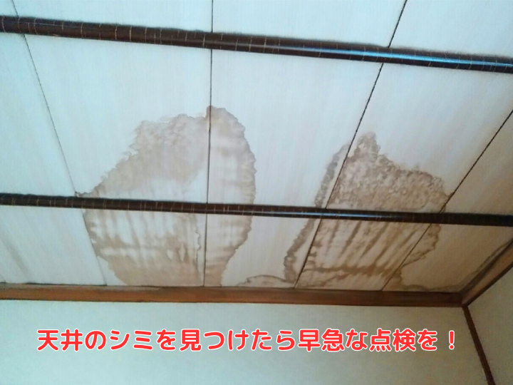 天井のシミを見つけたら早急な点検を！