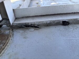 シート防水が裂けていました