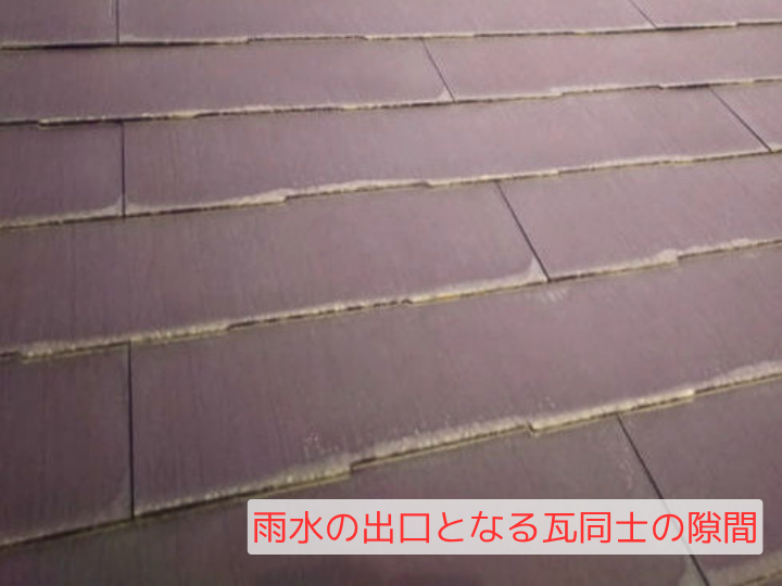 雨水の出口となる瓦同士の隙間
