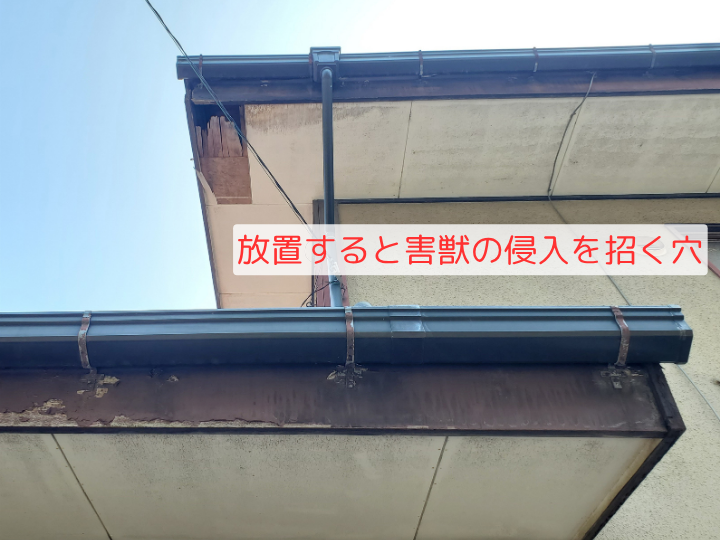 放置すると害獣の侵入を招く穴