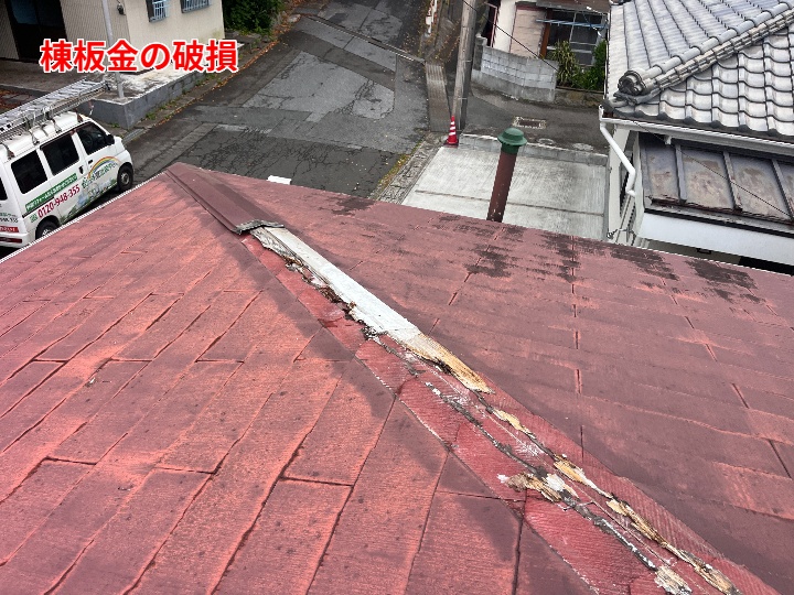 棟板金
