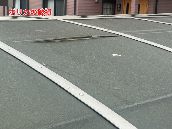 ポリカ