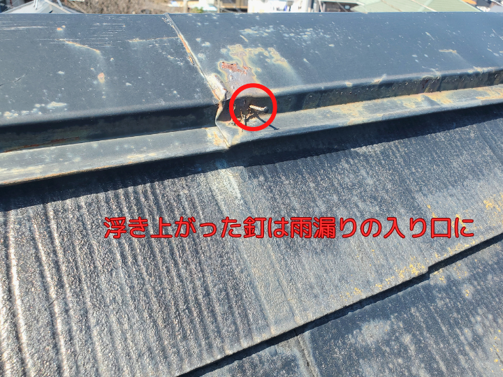 浮き上がった釘は雨漏りの入り口に