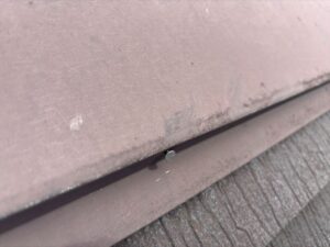 棟板金の釘浮