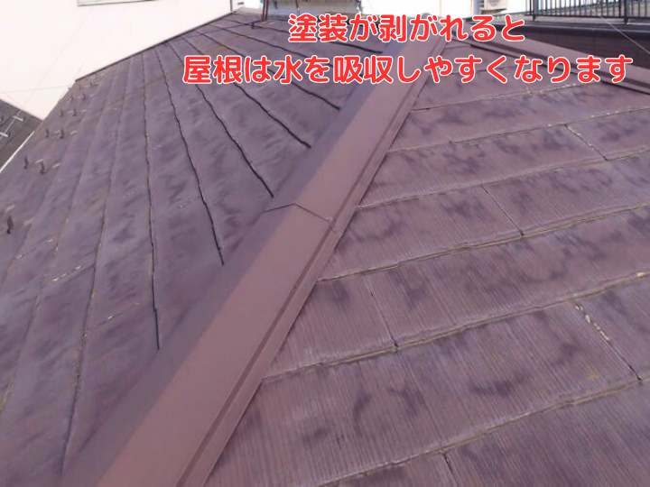塗装が剥がれると屋根は水を吸収しやすくなります
