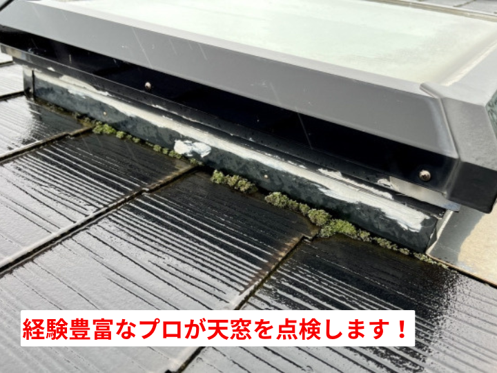 経験豊富なプロが天窓を点検します!