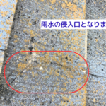 雨水の侵入口となります