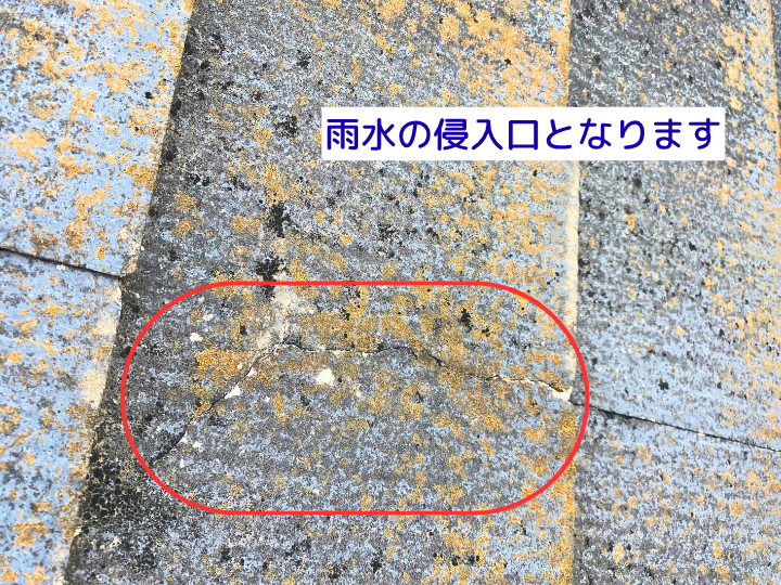 雨水の侵入口となります