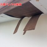 軒天