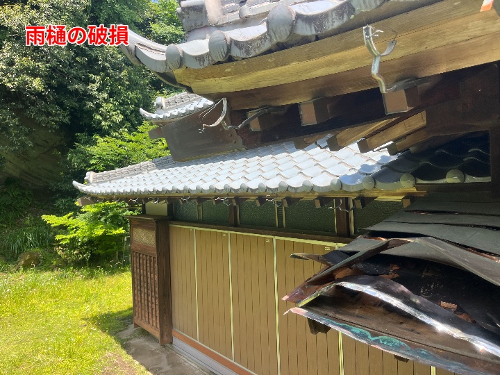 雨樋