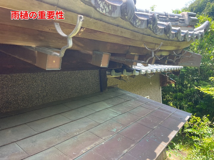 雨樋