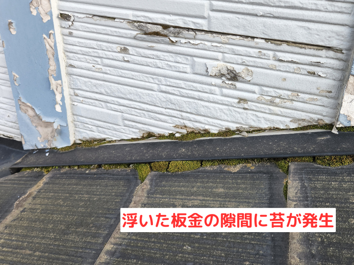 浮いた板金の隙間に苔