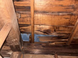 小屋裏を覗いてみます