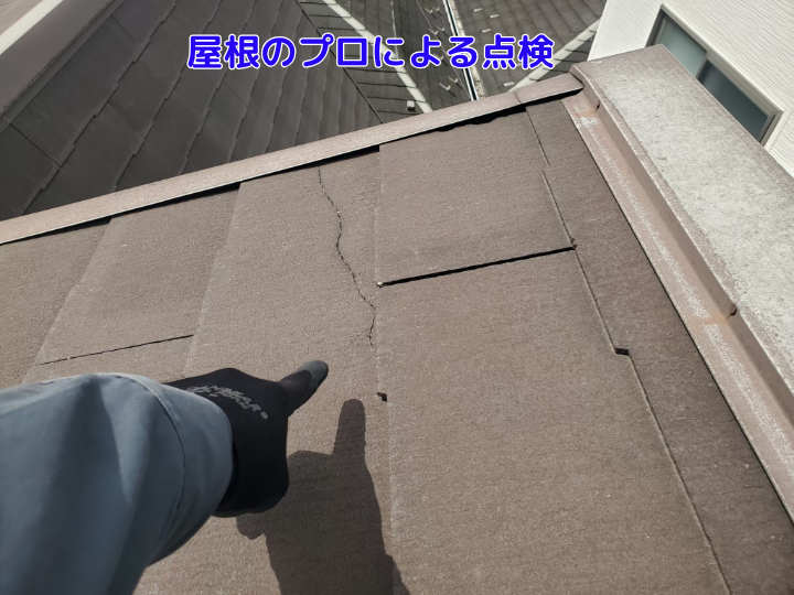 屋根のプロによる点検