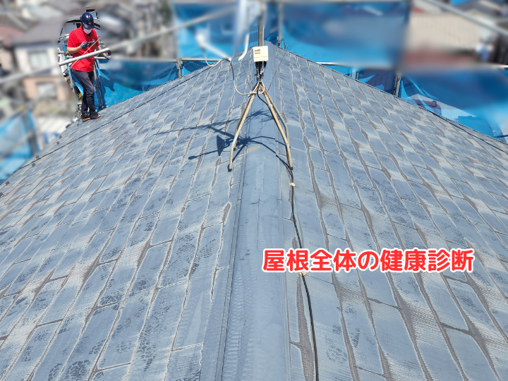 屋根全体の健康診断