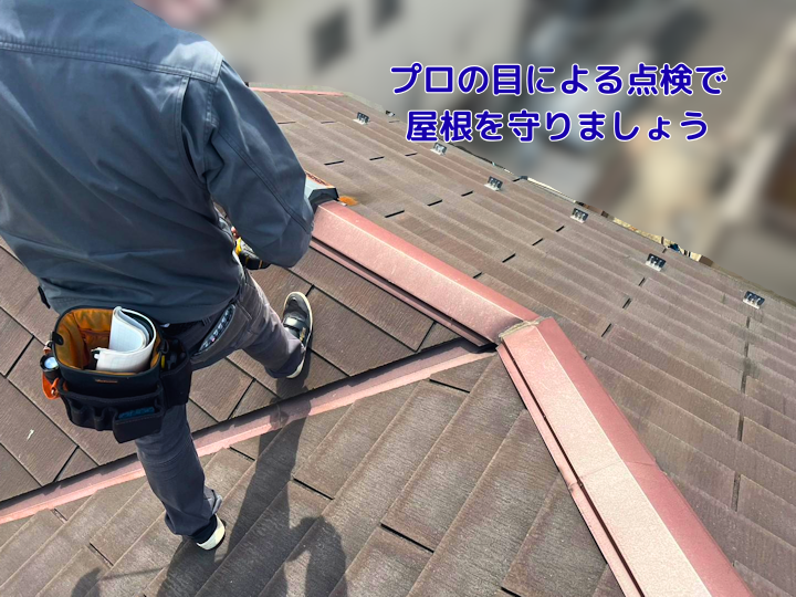 プロの目による点検で屋根を守りましょう