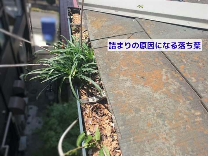 詰まりの原因になる落ち葉