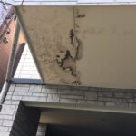 軒天に染みができていました