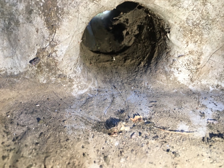 排水口入口の堆積物