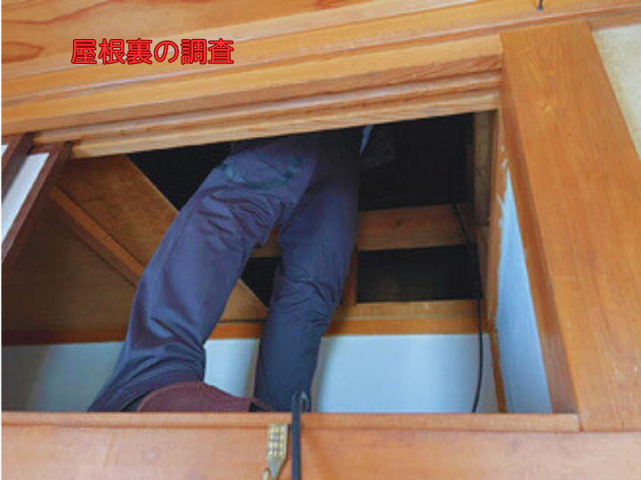 屋根裏の調査