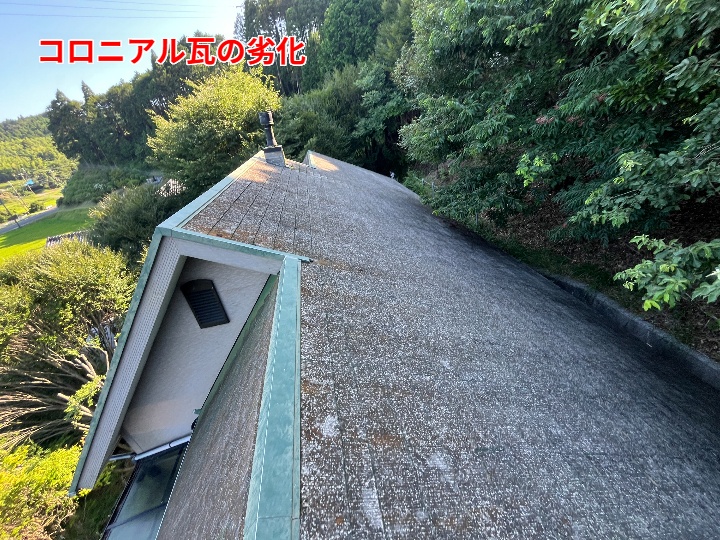 色あせた屋根全景