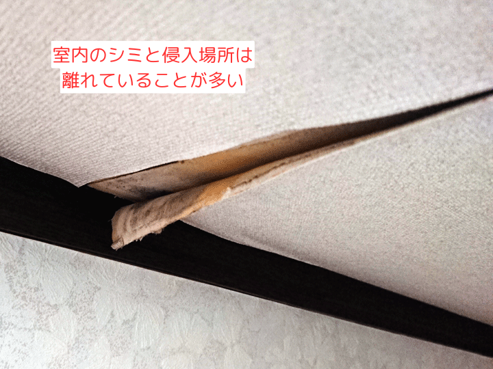 室内のシミと侵入場所は 離れていることが多い