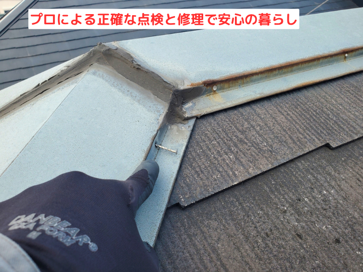 プロによる正確な点検と修理で安心の暮らし