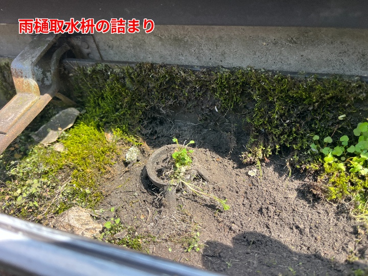 取水桝に土砂が詰まる様子