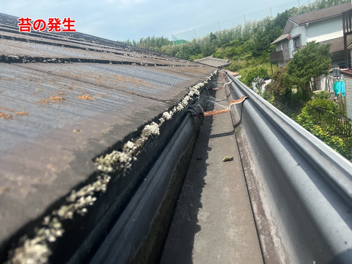 軒先の苔と雨樋内部